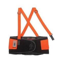 Ergodyne Back Supports Ergodyne® ProFlex® 100 Economy Hi-Visibility Back Support, Orange, XL