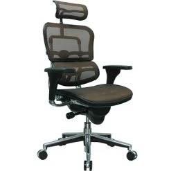 Executive/Managerial Chairs Raynor Eurotech Ergo Human High Back Managers Chair, With Headrest And Mesh, Orange