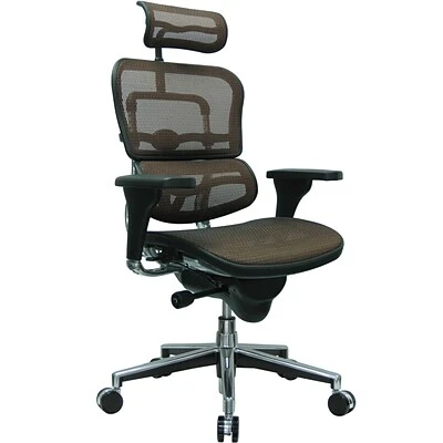 Executive/Managerial Chairs Raynor Eurotech Ergo Human High Back Managers Chair, With Headrest And Mesh, Orange