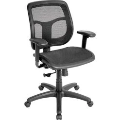 Task Chairs Raynor Eurotech Apollo Mesh Office Chair, Black