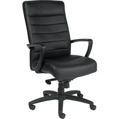 Executive/Managerial Chairs Raynor Eurotech Manchester Leather Executive Chair, Black