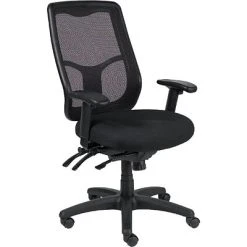 Task Chairs Raynor Eurotech Apollo Mesh High-Back Task Chair, Black, Adjustable Arms (MFHB9SL)