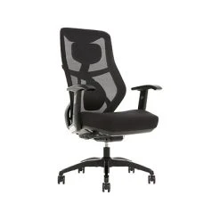 Office Chairs Beautyrest Duo-EX Ergonomic Mesh Swivel Task Chair, Black/Gray (60051GRY)