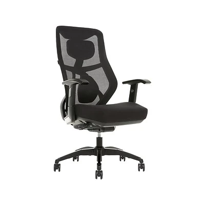 Office Chairs Beautyrest Duo-EX Ergonomic Mesh Swivel Task Chair, Black/Gray (60051GRY)