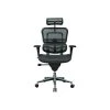 Task Chairs Eurotech High Back Mesh Task Chair, Black (ME7ERG(N))