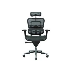 Task Chairs Eurotech High Back Mesh Task Chair, Black (ME7ERG(N))