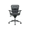 Task Chairs Raynor Low Back Mesh Task Chair, Black (ME8ERGLO(N))
