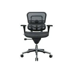 Task Chairs Raynor Low Back Mesh Task Chair, Black (ME8ERGLO(N))